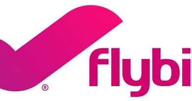 flybig logo