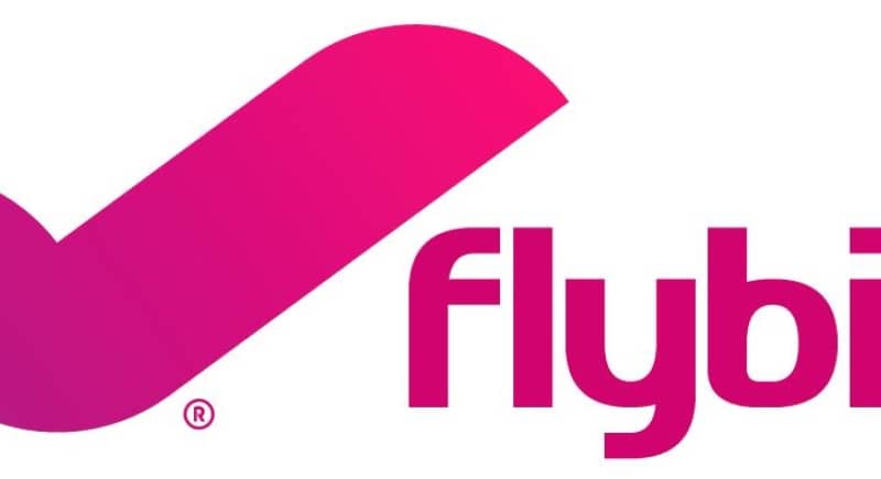 flybig logo